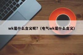 wk是什么含义呢?（电气wk是什么含义）