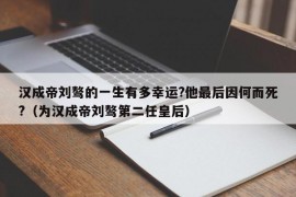 汉成帝刘骜的一生有多幸运?他最后因何而死?（为汉成帝刘骜第二任皇后）