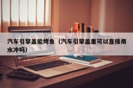 汽车引擎盖能烤鱼（汽车引擎盖里可以直接用水冲吗）