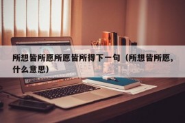 所想皆所愿所愿皆所得下一句（所想皆所愿,什么意思）