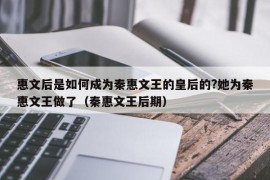 惠文后是如何成为秦惠文王的皇后的?她为秦惠文王做了（秦惠文王后期）