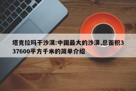 塔克拉玛干沙漠:中国最大的沙漠,总面积337600平方千米的简单介绍