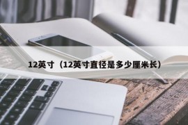 12英寸（12英寸直径是多少厘米长）