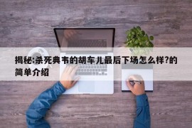 揭秘:杀死典韦的胡车儿最后下场怎么样?的简单介绍