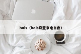 bois（bois设置来电自启）