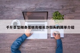 千斤巨型辣条蛋糕亮相长沙街头的简单介绍