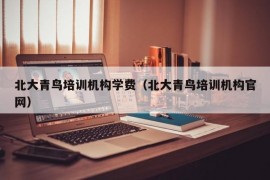 北大青鸟培训机构学费（北大青鸟培训机构官网）