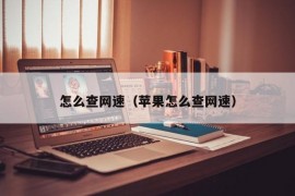 怎么查网速（苹果怎么查网速）