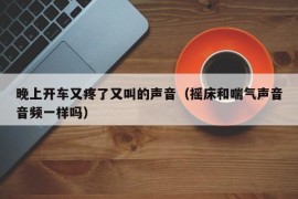 晚上开车又疼了又叫的声音（摇床和喘气声音音频一样吗）