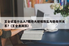 王全斌是什么人?蜀地大规模叛乱与他有何关系?（王全勇简历）