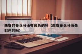 西安的秦兵马俑有彩色的吗（西安秦兵马俑是彩色的吗）