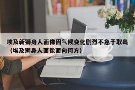 埃及新狮身人面像因气候变化剧烈不急于取出（埃及狮身人面像面向何方）