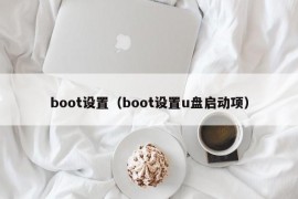 boot设置（boot设置u盘启动项）