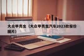 大众甲壳虫（大众甲壳虫汽车2023款报价图片）