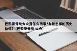 巴黎圣母院大火是怎么回事?有着怎样的历史价值?（巴黎圣母院 纵火）