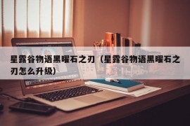 星露谷物语黑曜石之刃（星露谷物语黑曜石之刃怎么升级）