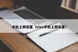 手机上网设置（vivo手机上网设置）