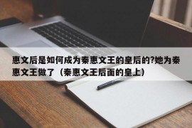 惠文后是如何成为秦惠文王的皇后的?她为秦惠文王做了（秦惠文王后面的皇上）